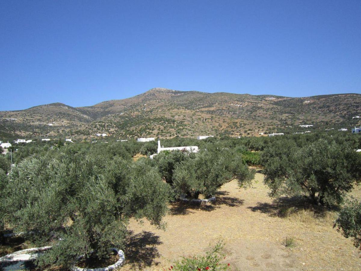 Elisso Villas Platis Gialos  Kültér fotó