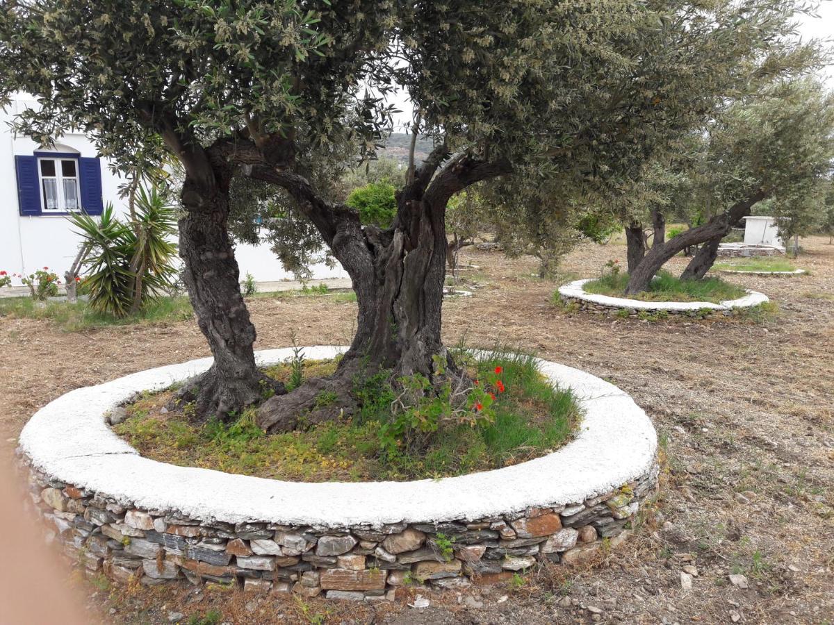 Elisso Villas Platis Gialos  Kültér fotó