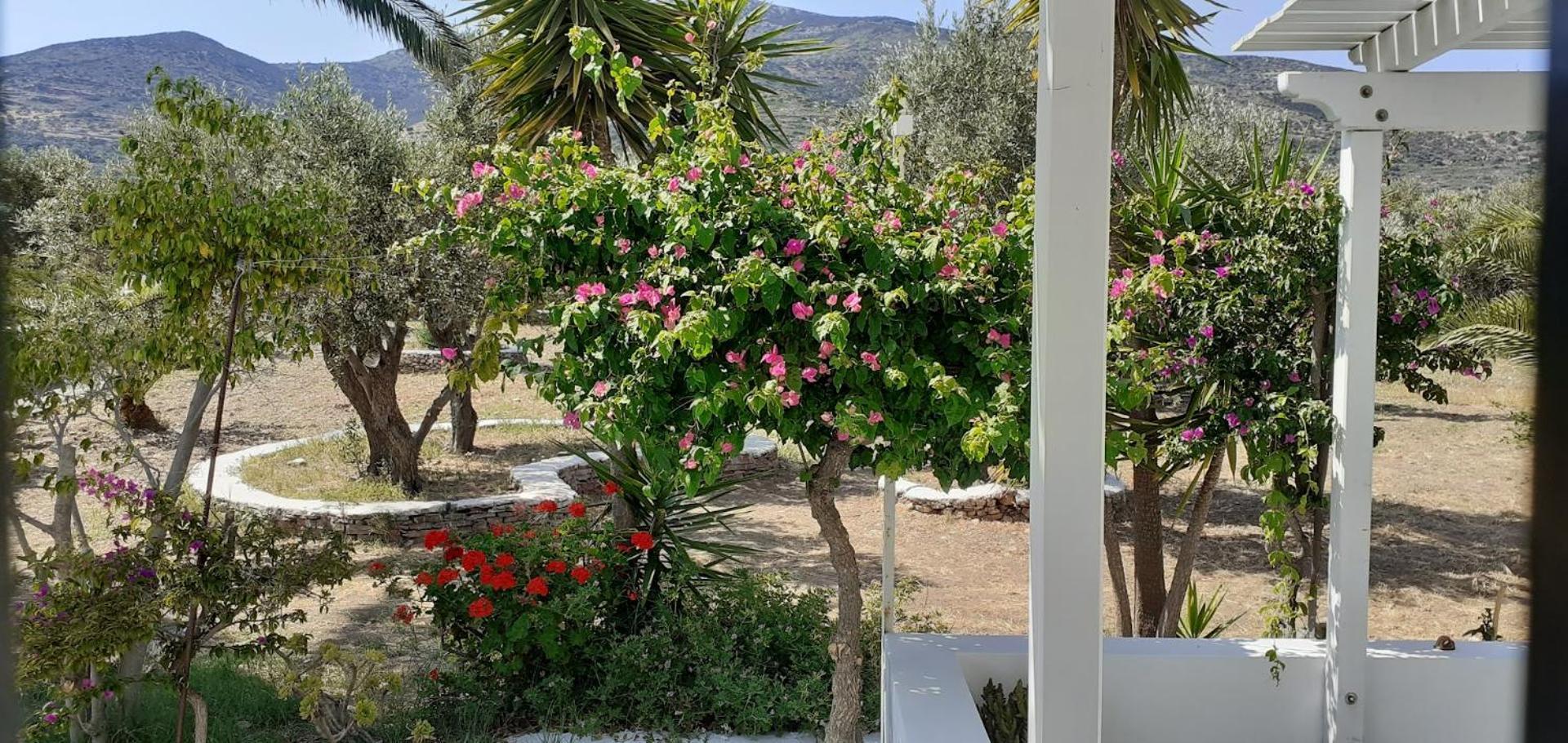 Elisso Villas Platis Gialos  Kültér fotó