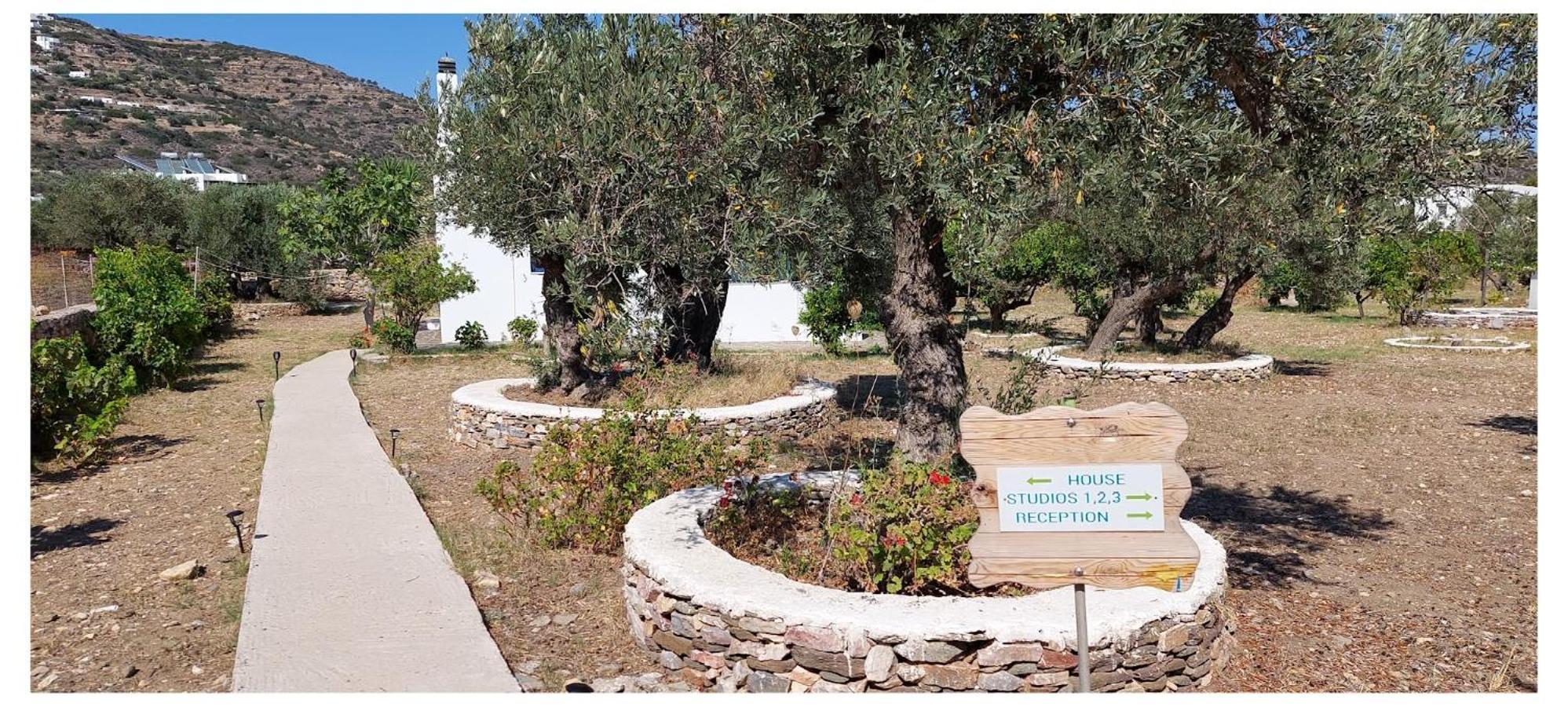 Elisso Villas Platis Gialos  Kültér fotó